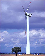 wind-turbines image